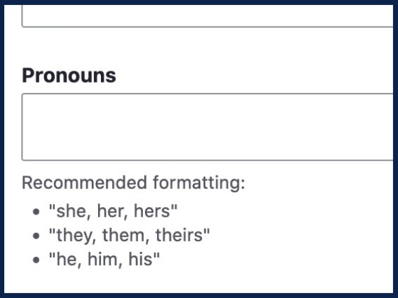 Screenshot of pronouns field