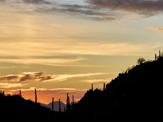 Arizona Sites 1:1 Session