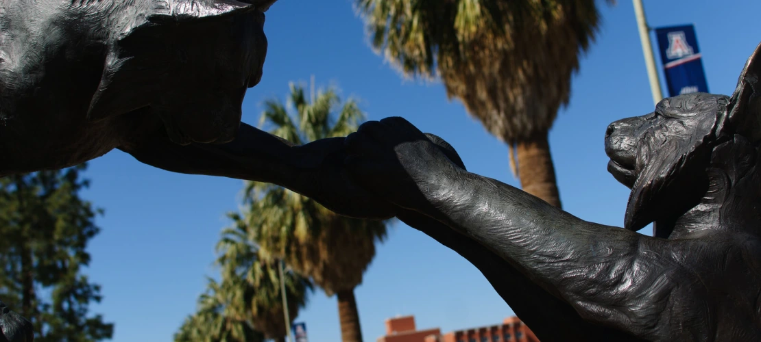 wildcat sculpture