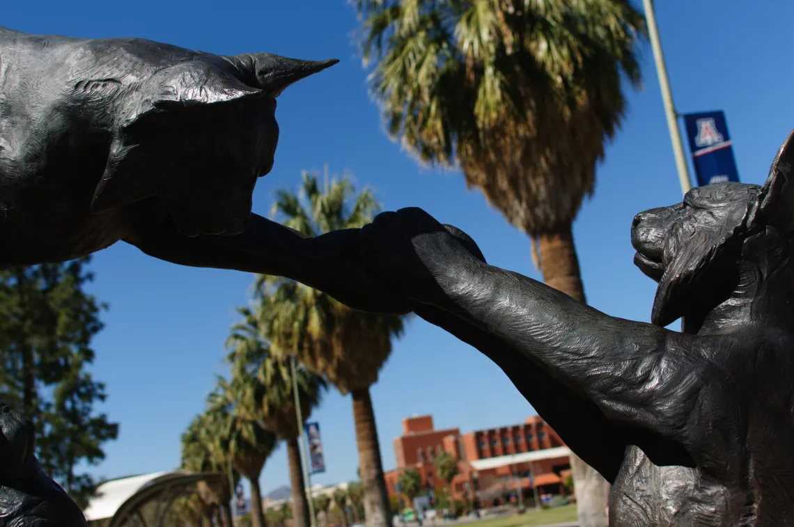 wildcat sculpture