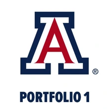 AZ Sites 1:1 Session - Joe Gallegos