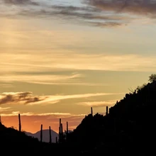 Arizona Sites 1:1 Session